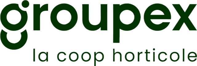 GroupeX